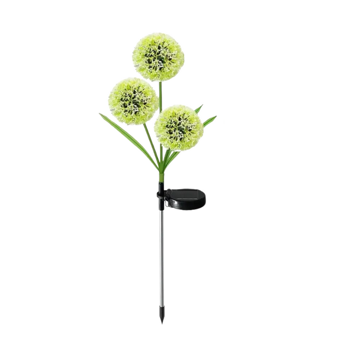 GlowBloom