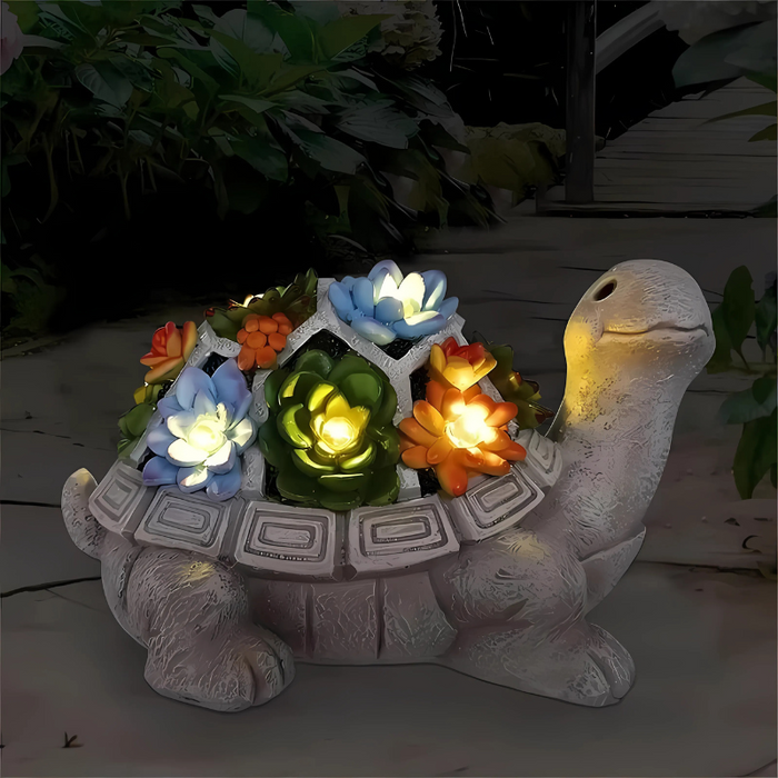 TortiBloom