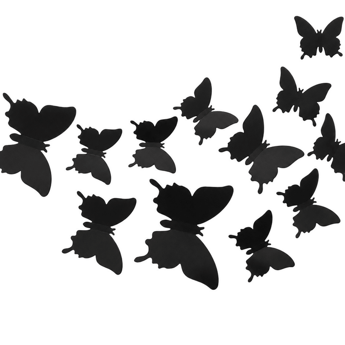 ShimmerFly