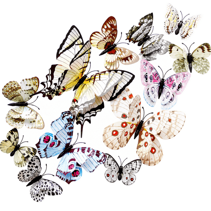 PapillonPop