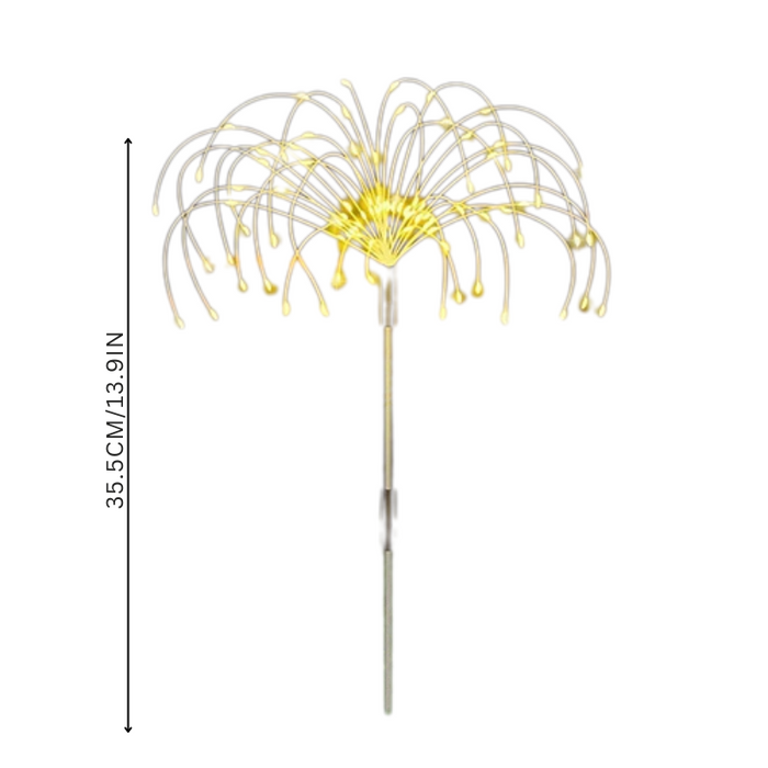 BloomBright