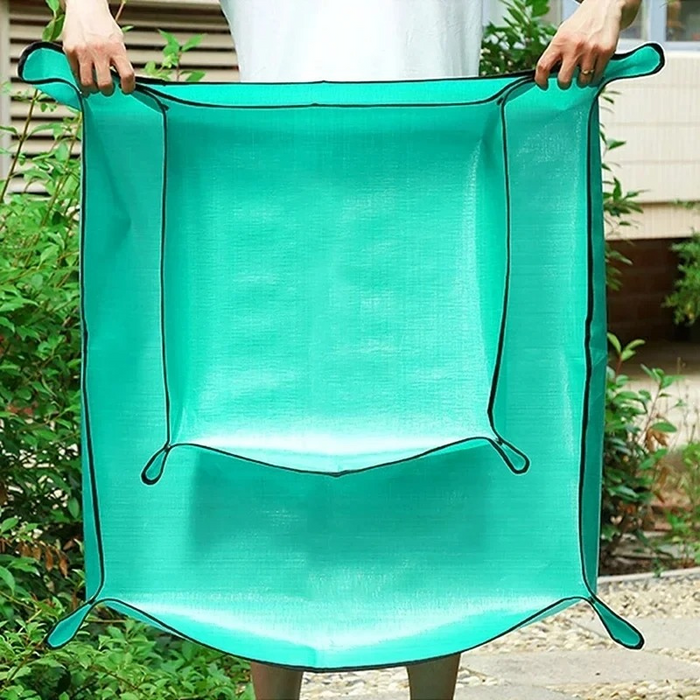 GreenGrab