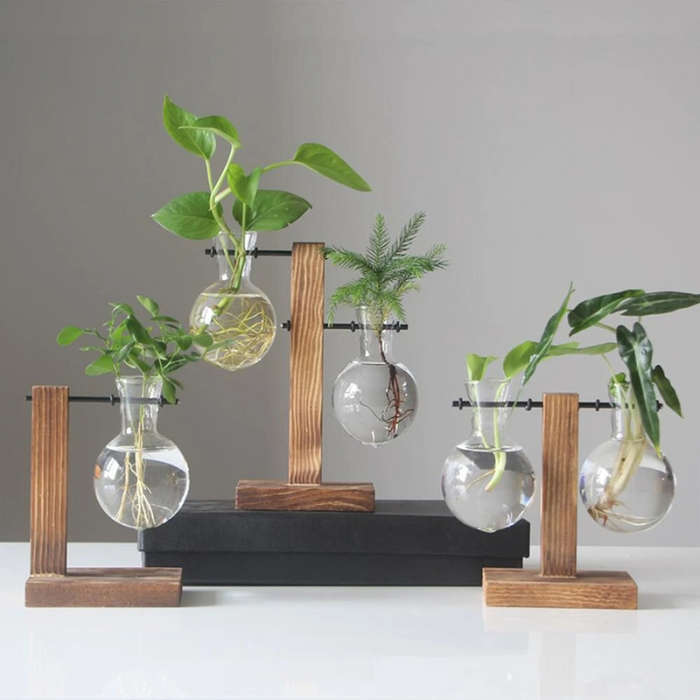 RootLab