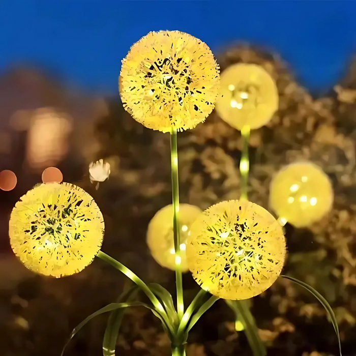 GlowBloom