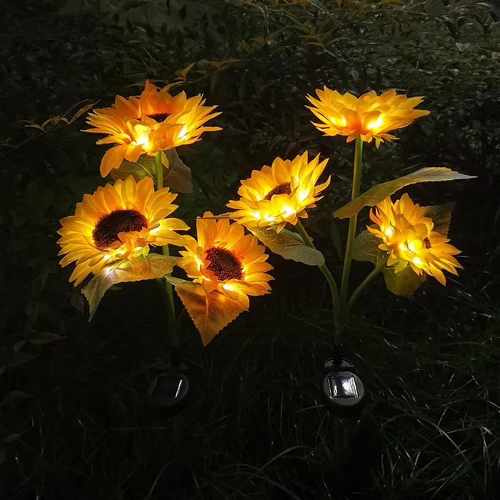 SunGlow