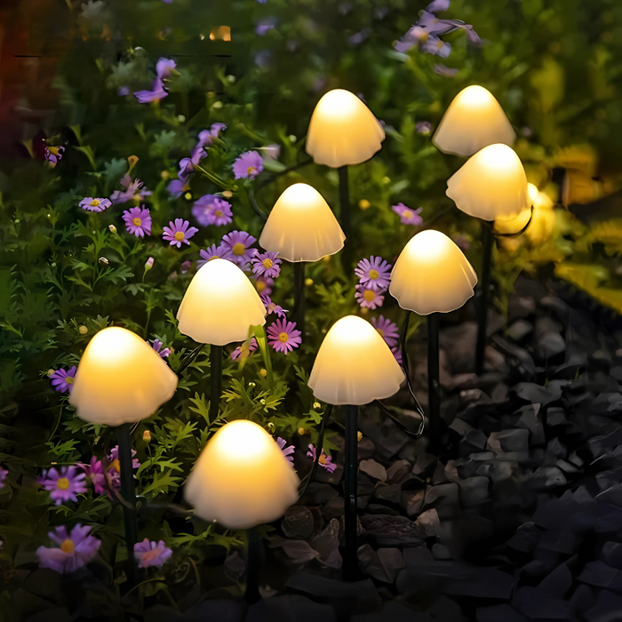FungiGlow