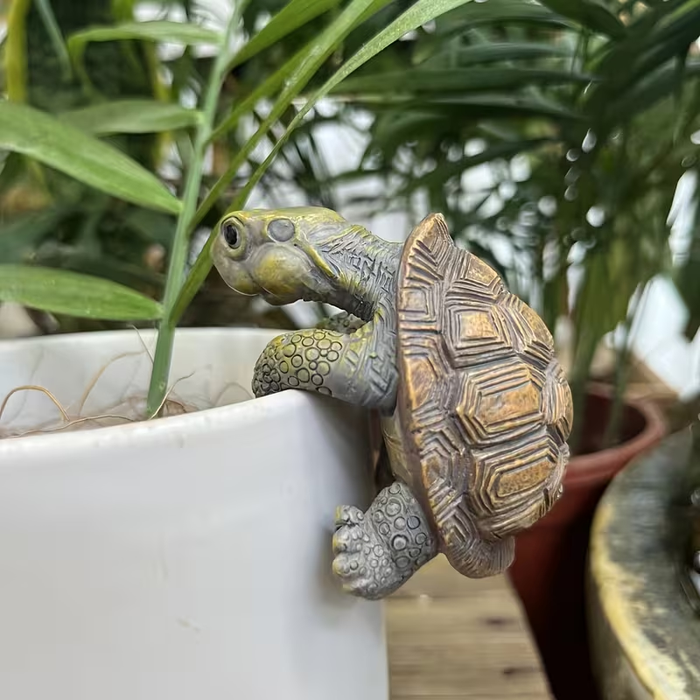 TurtleTrail