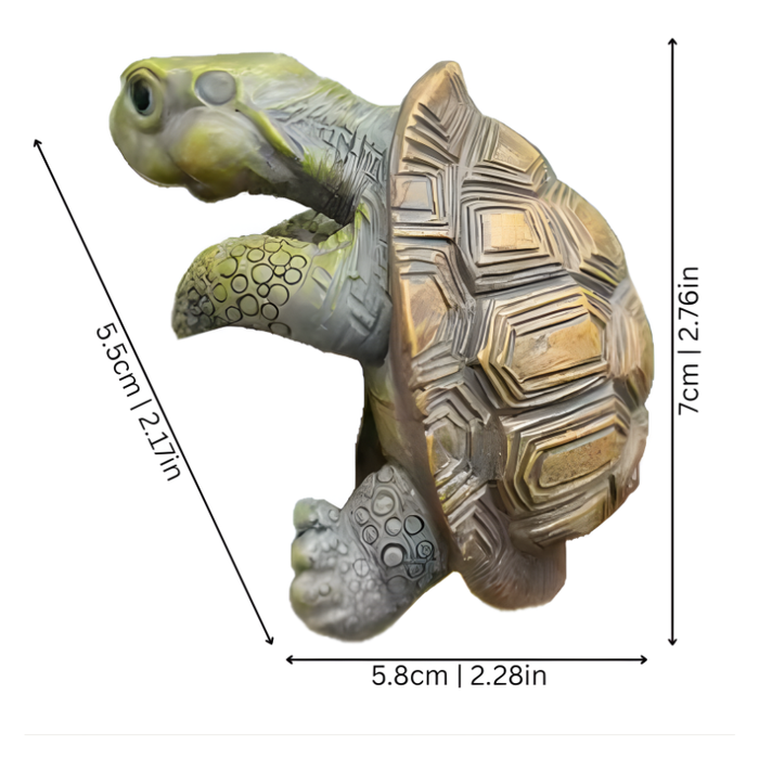 TurtleTrail