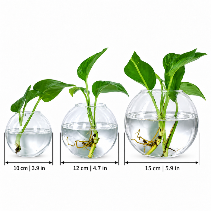 RootBubble