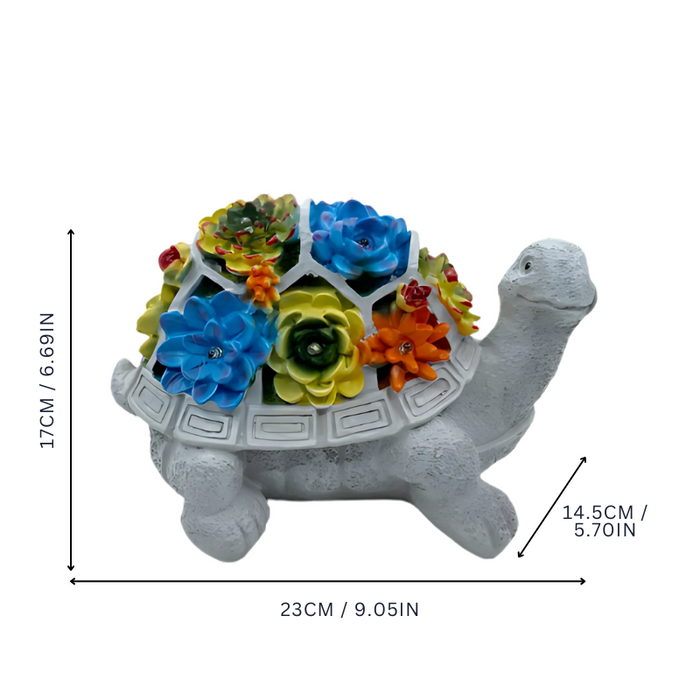 TortiBloom