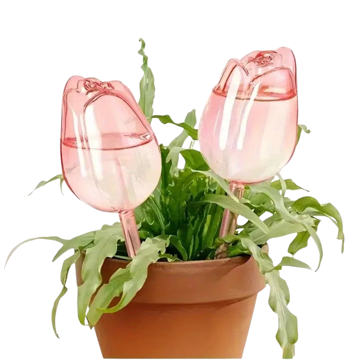 TulipDrip